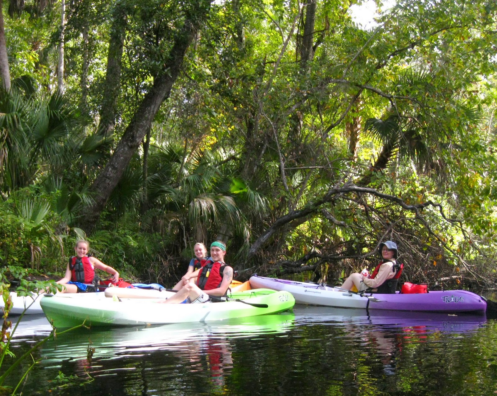 Central Florida Kayak Tours Judy Gallagher's Rock Springs Run 102911