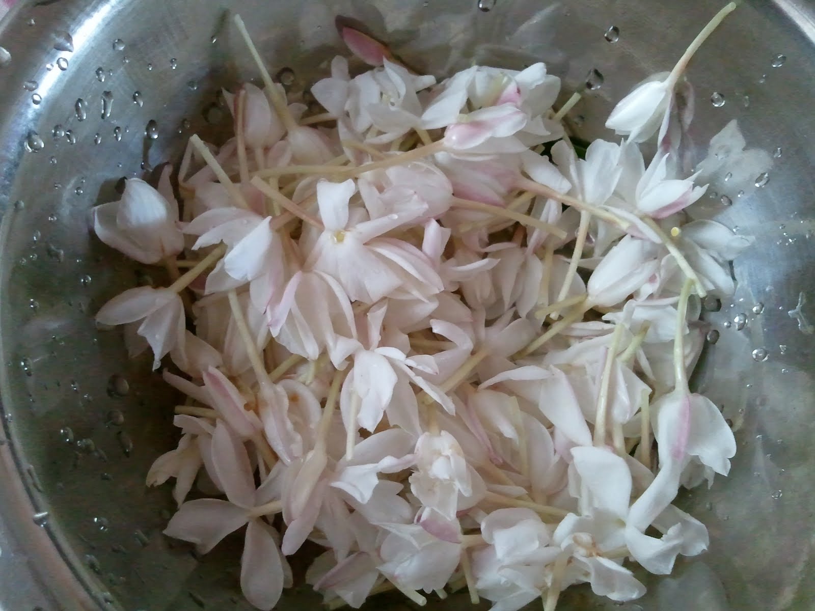 My Daily Life Adventures September 2011