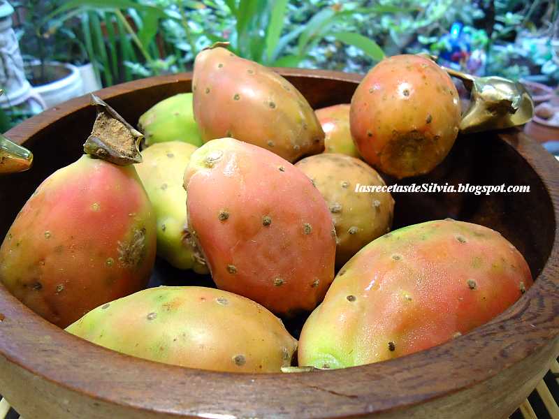 Las recetas de Silvia Cómo pelar higos de Tuna o higos chumbos sin lastimarnos