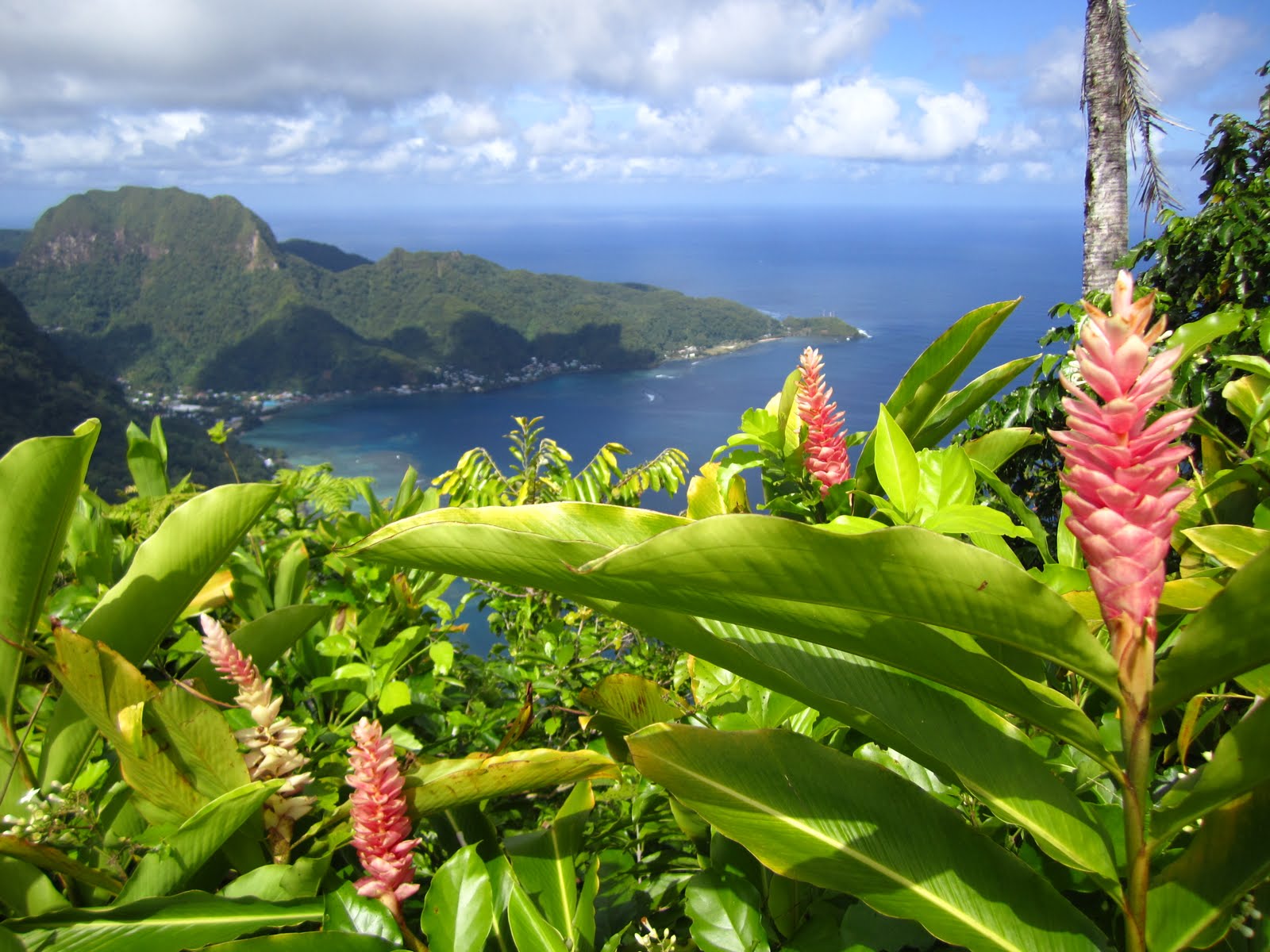 Quinn in American Samoa Hiking to the top of American Samoa