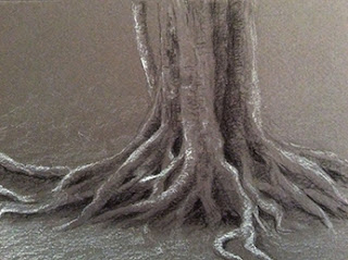 Step 2 - Charcoal sketching of exposed roots of a tree by Manju Panchal