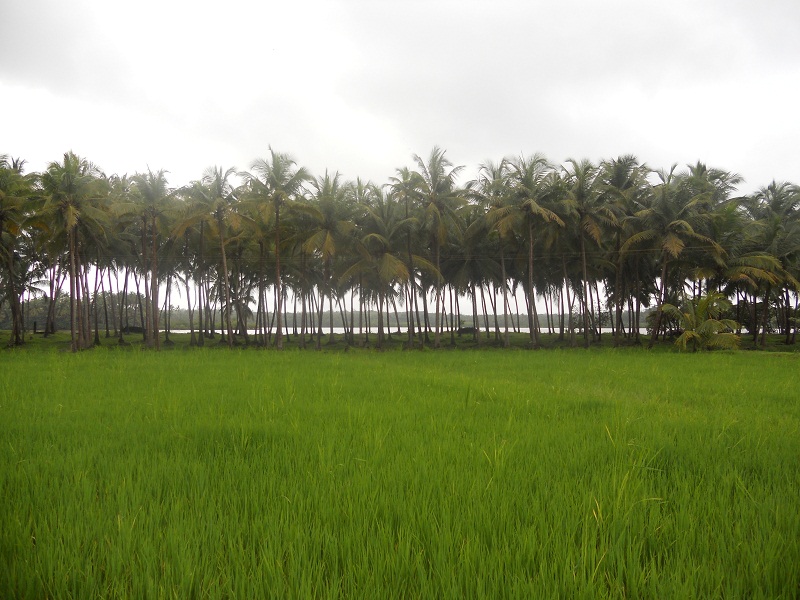 Meine Deutsch Indischen Erfahrungen Leben Auf Einer Einsamen Insel