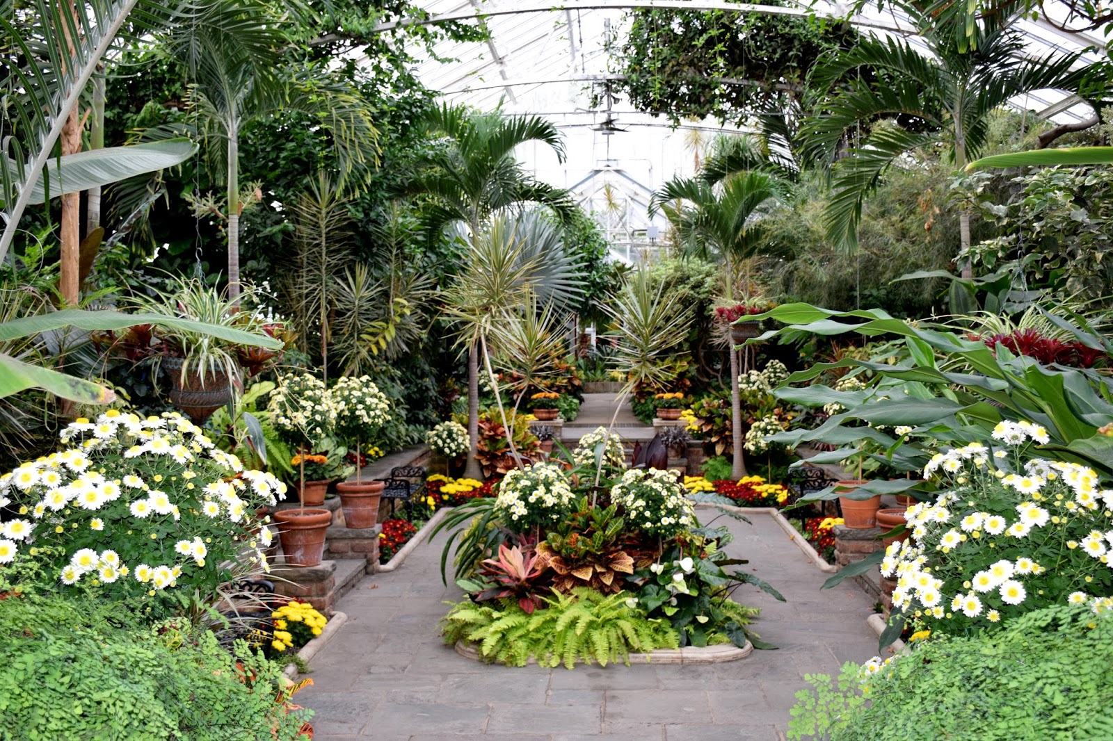 Melanie�s Perennials Arctic Blast! Not at Planting Fields