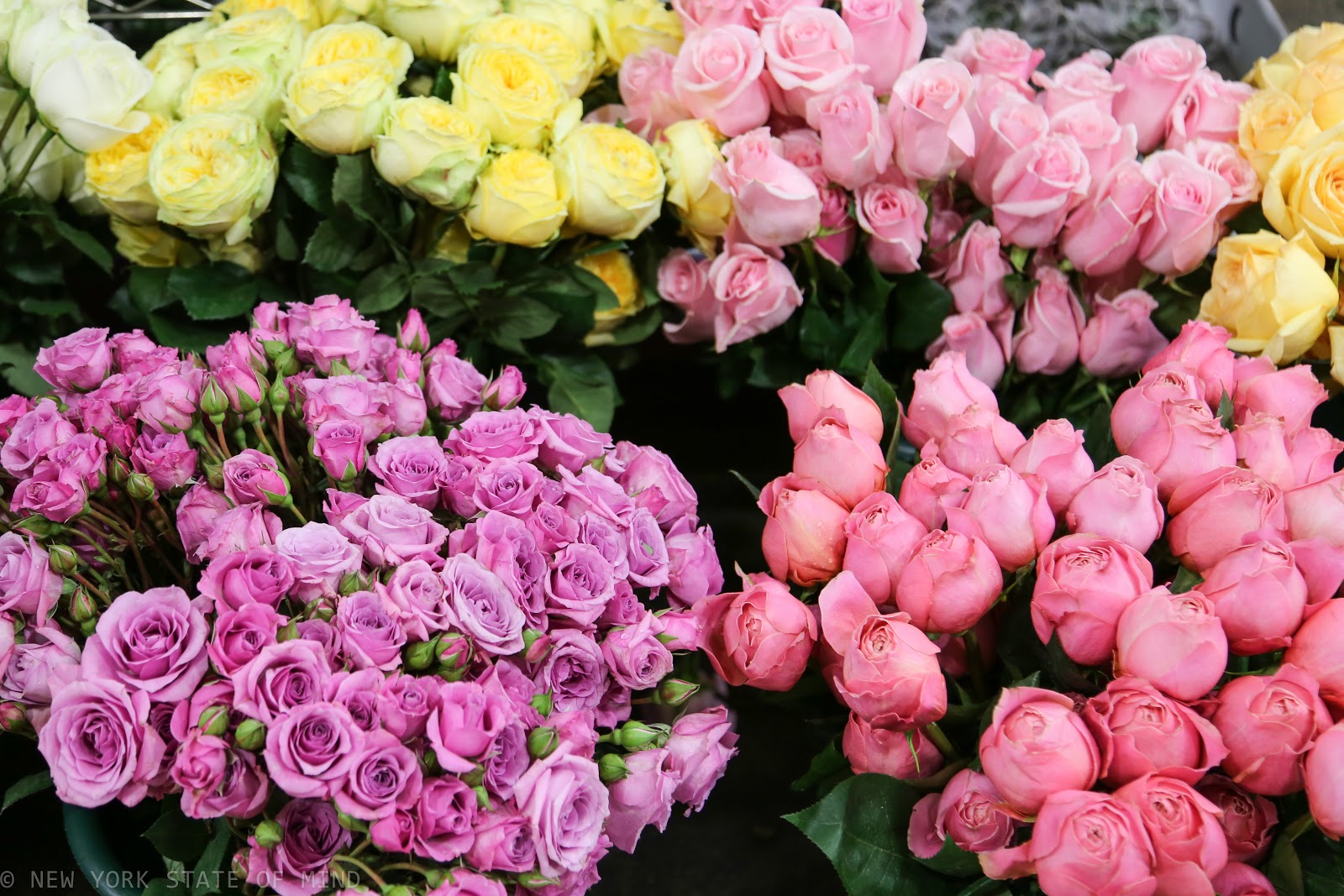 New York State of Mind New York Flower District
