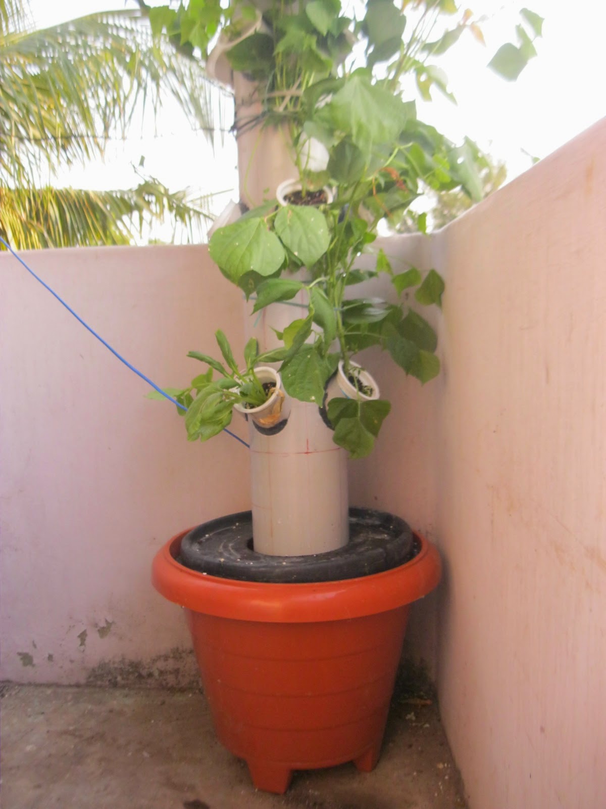 Chennai Hydroponics Aeroponic Tower Garden Growing System