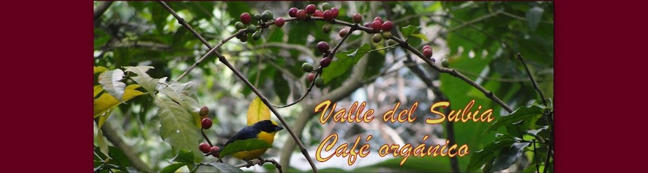 Café Valle del Subia