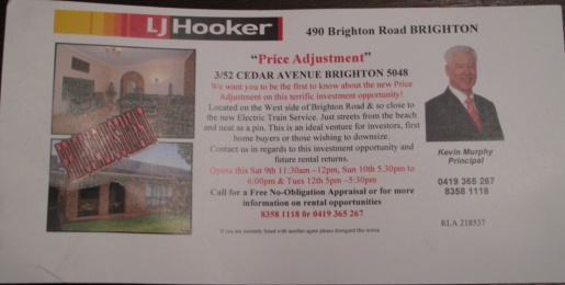 I have seen a few examples real estate ads examples. I have seen a few examples