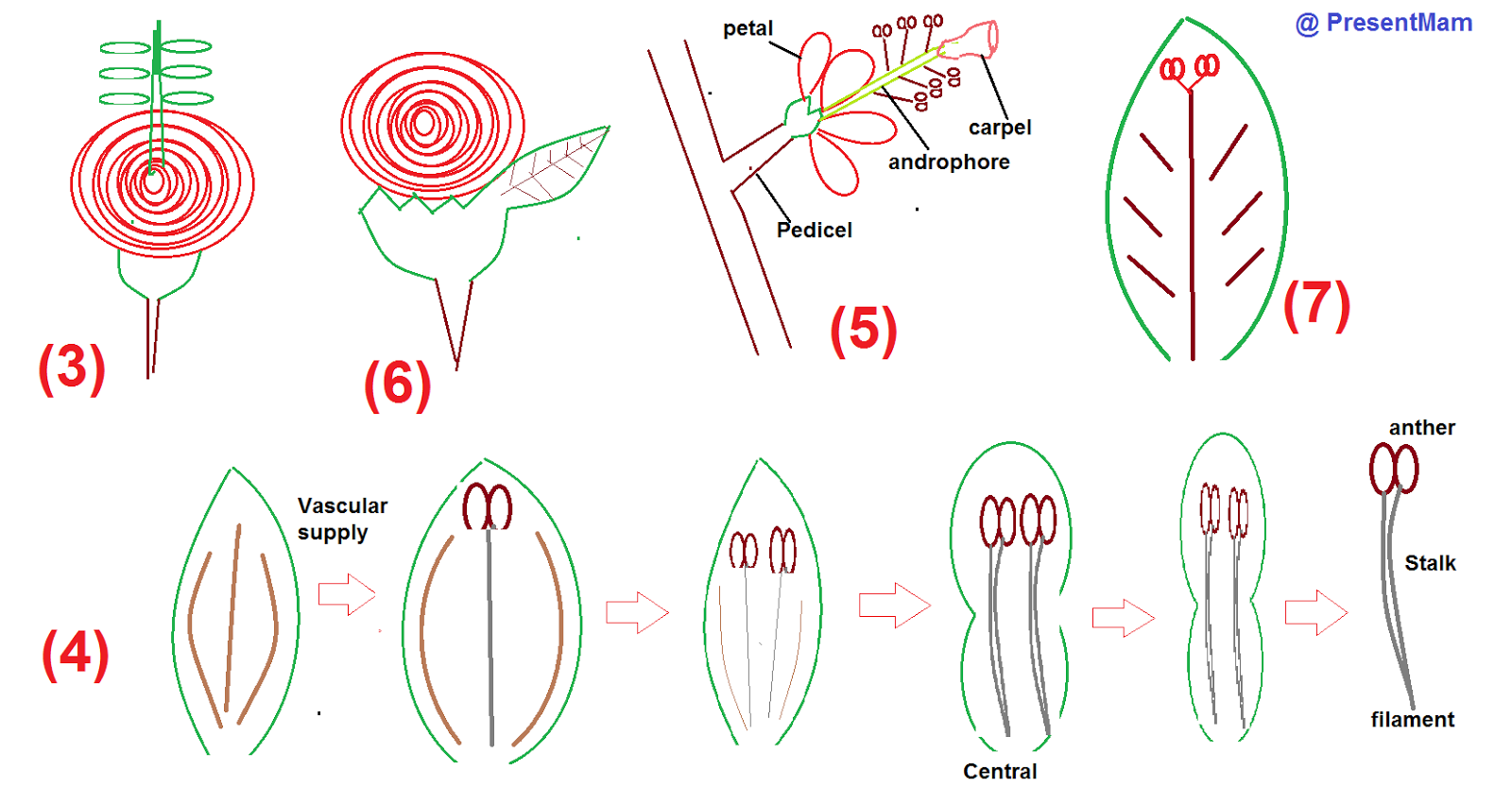 new world " CREATED" June 2014