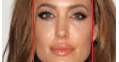 rectangle shape face rectangle shape face
