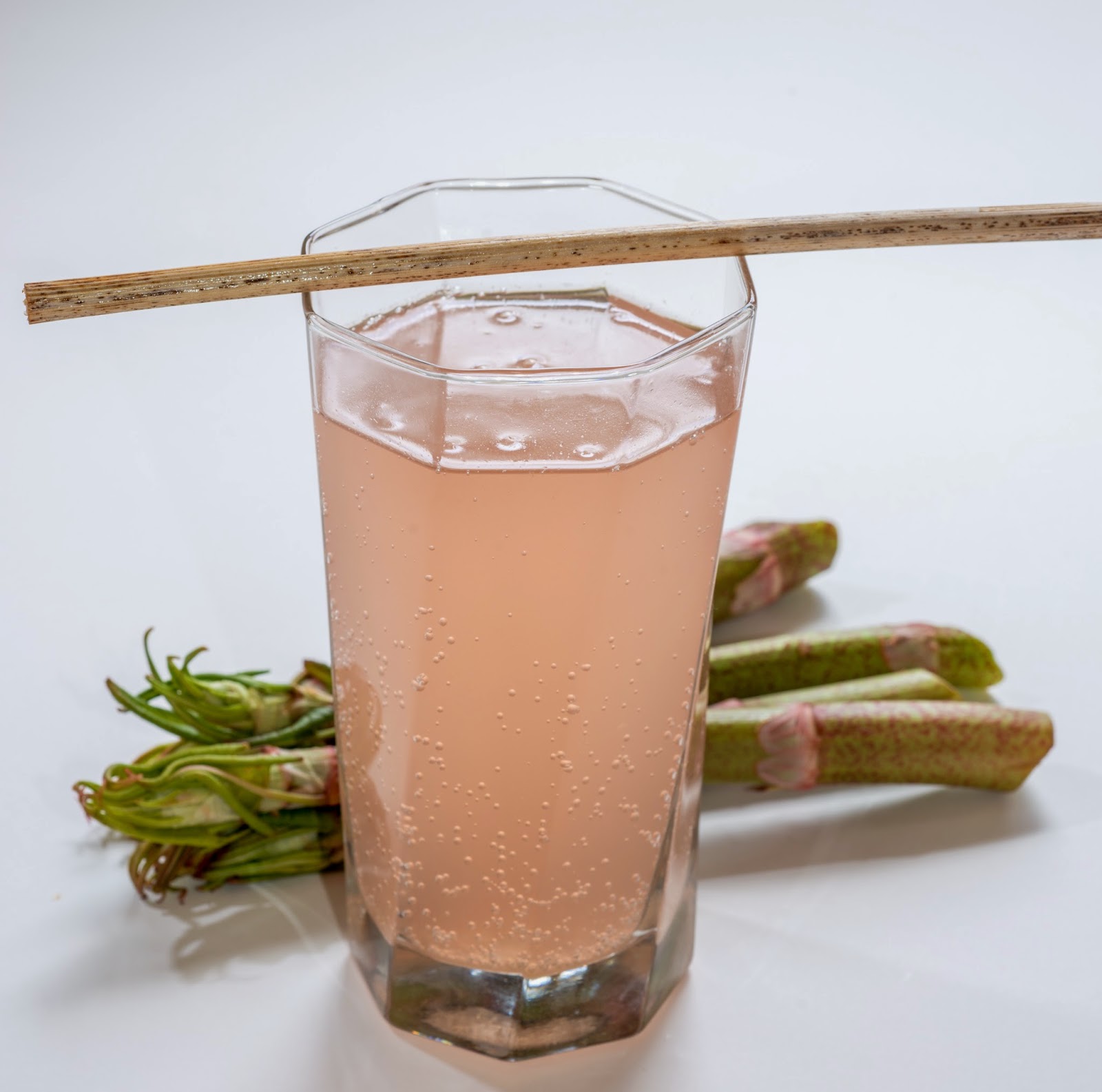 The 3 Foragers Foraging for Wild, Natural, Organic Food Japanese