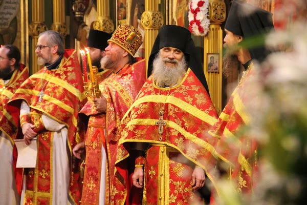 Удачные дни по лунному календарю для операций