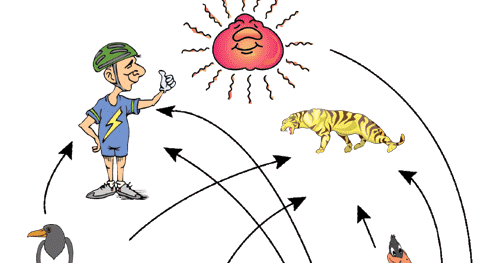 Pelajaran Science Komponen Ekosistem