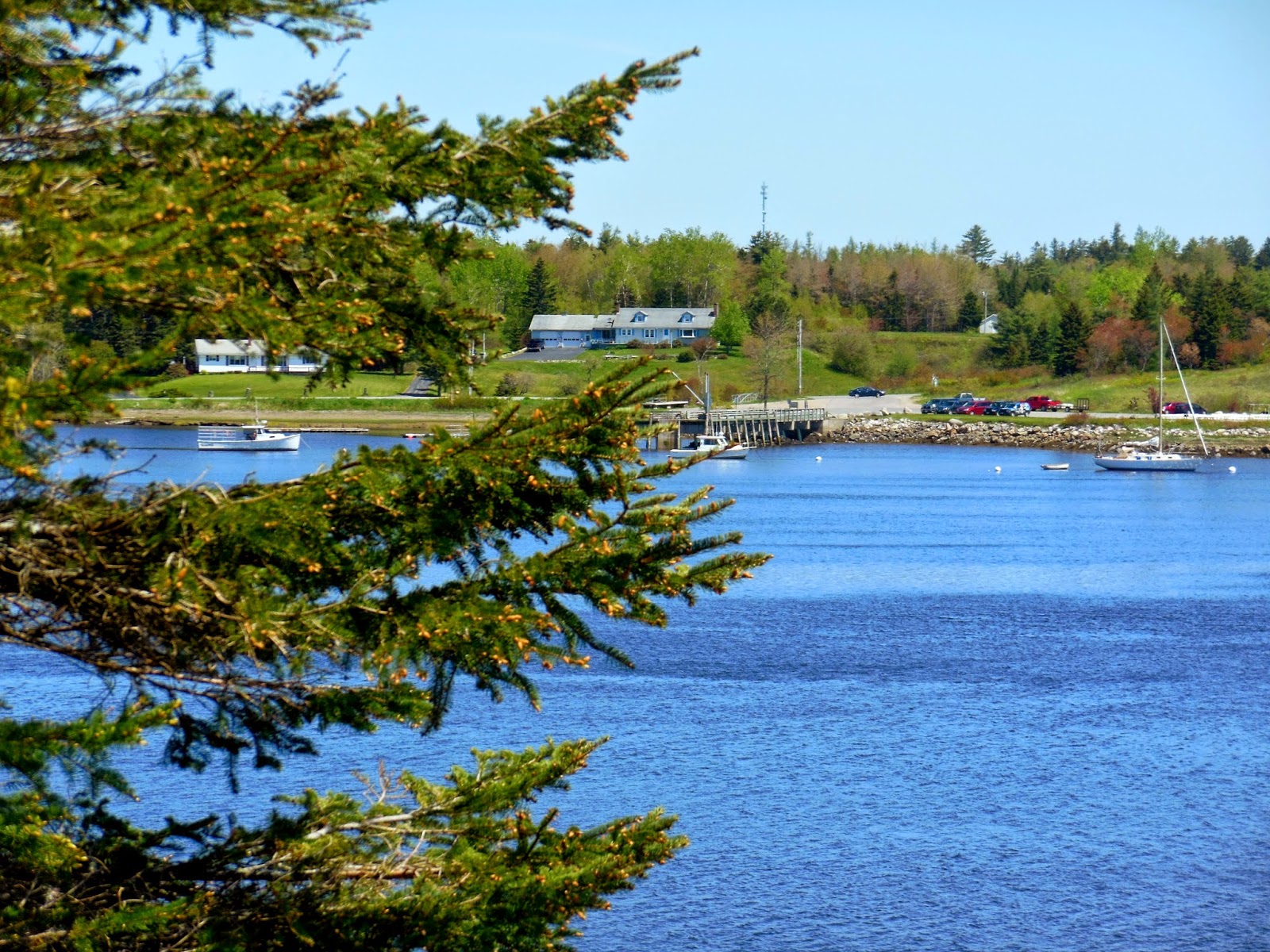 Field Notes and Photos A very short hike in Milbridge, Maine.