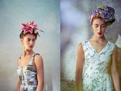 Emily and Fin appoints Whitehair Co