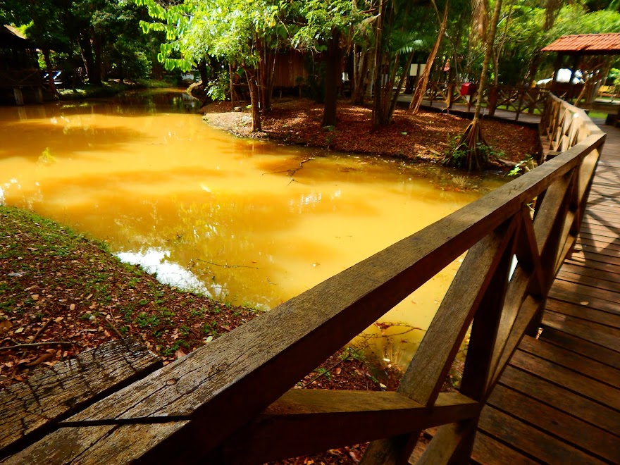 MITOS E LENDAS VOLTA A AMAZONIA