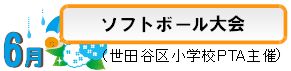 ソフトボール大会