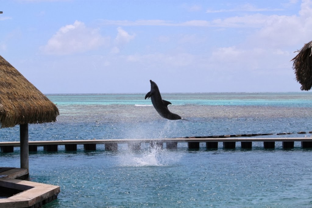 Moorea - Polynésie