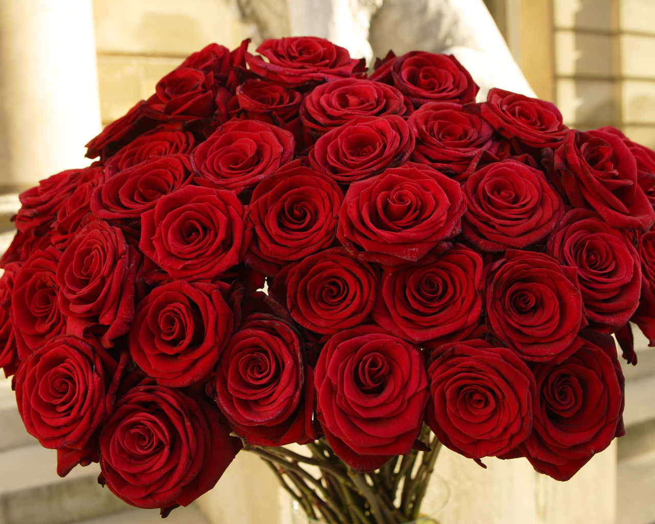 http://2.bp.blogspot.com/-f272GtoWke8/T1HVUTSYP1I/AAAAAAAAAd4/17D1Qme8B-Q/s1600/ushsid.blogspot.com+(184).jpg