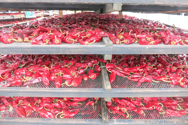 slow life,piments,espelette,pays basque,souraïde,vaches,healthy life,healthy food,l'équilibre est dans le pré