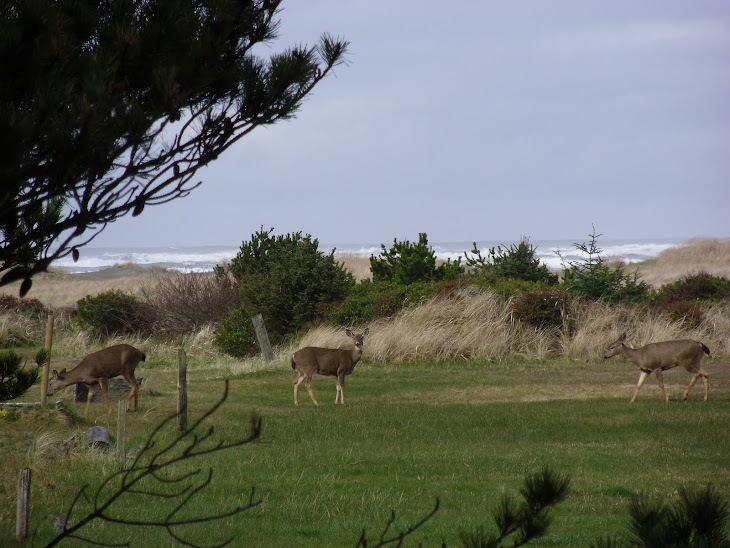 Copalis Beach, WA