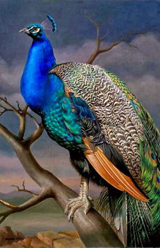 Artodyssey Grace Kim