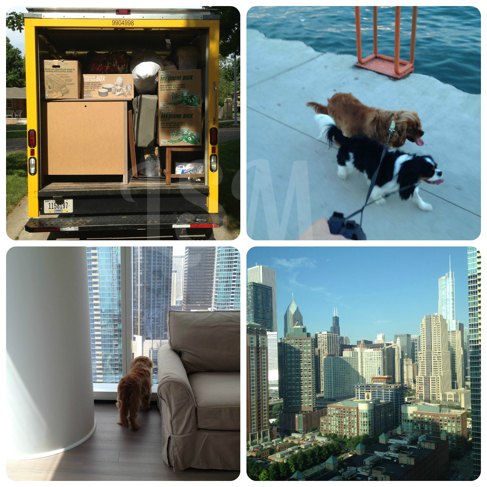 Life's Simple Measures An Assortment of Things