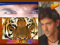 TIGER HRITHIK