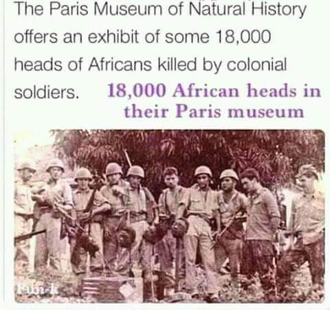 French Museum Of Natural History African Heads French Museum Of Natural History African Heads