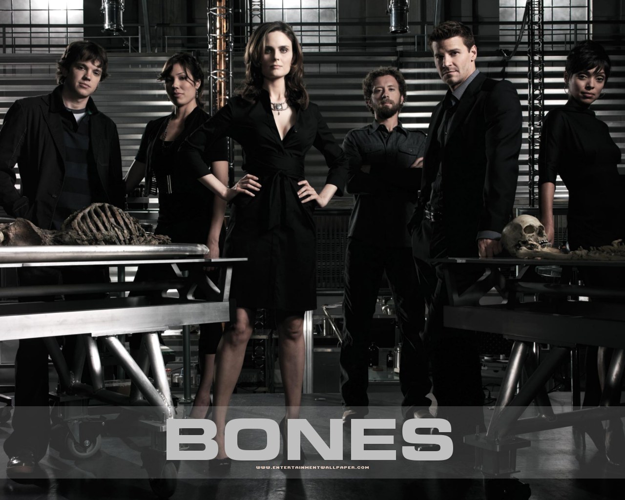 http://2.bp.blogspot.com/-f3XIiZF5F94/TmOSLkLGYAI/AAAAAAAAAy0/WAR83e_4ODk/s1600/bones_tv_episode_all_star_desktop_wallpapers_www.Vvallpaper.net.jpg
