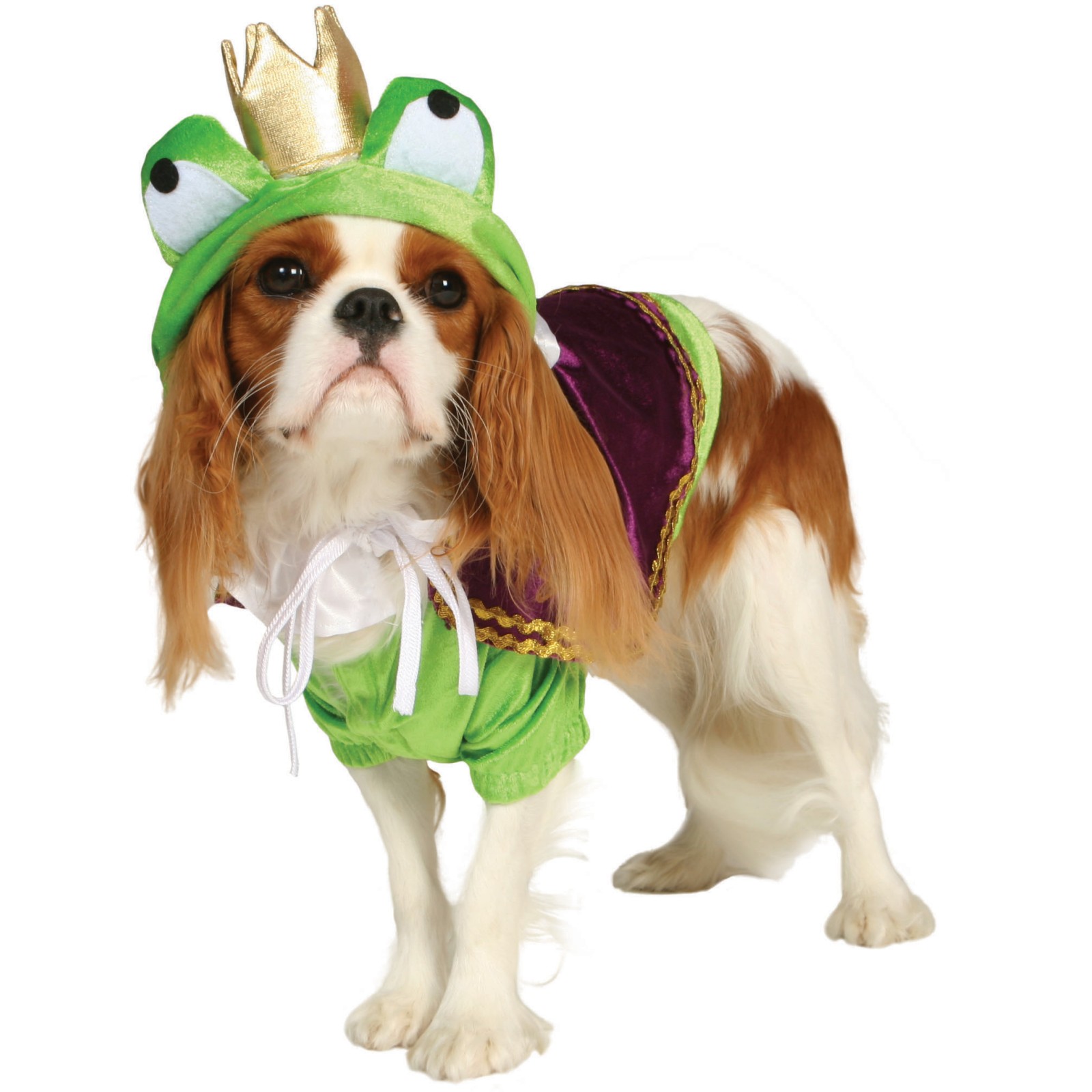 National Dress Up Your Pet Day Style Of Doggie Dress Up