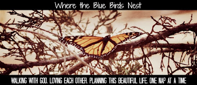 Where the Blue Birds Nest