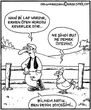 karikatur in selcuk erdem