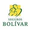 Pago en línea Bolivar