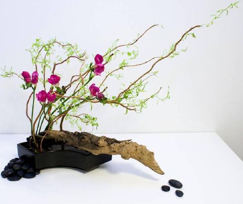 Wallpapers Unlimited: Awesome Japanese Art of Flower Arrangement