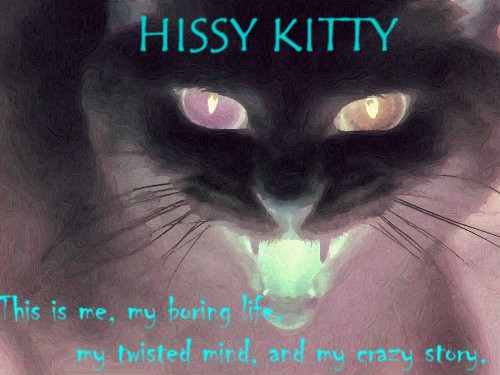 HISSY KITTY