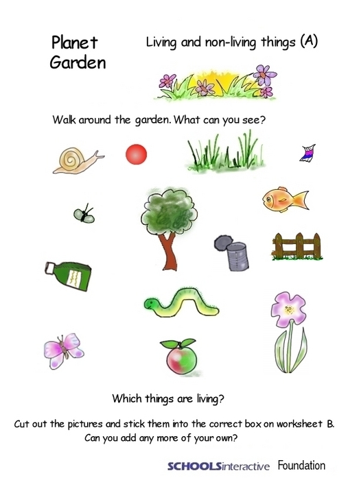 Learning Inspiration Worksheet for living things and non living things