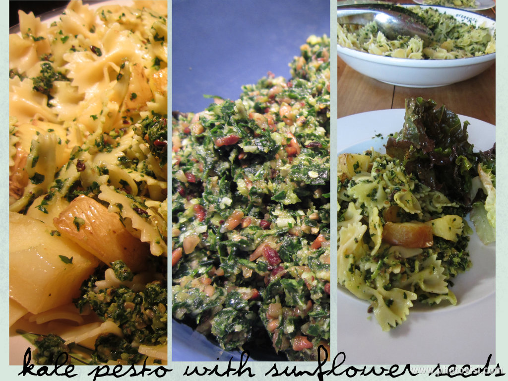 The Not So Cheesy Kitchen {Galactosemia in PDX} Kale Pesto with
