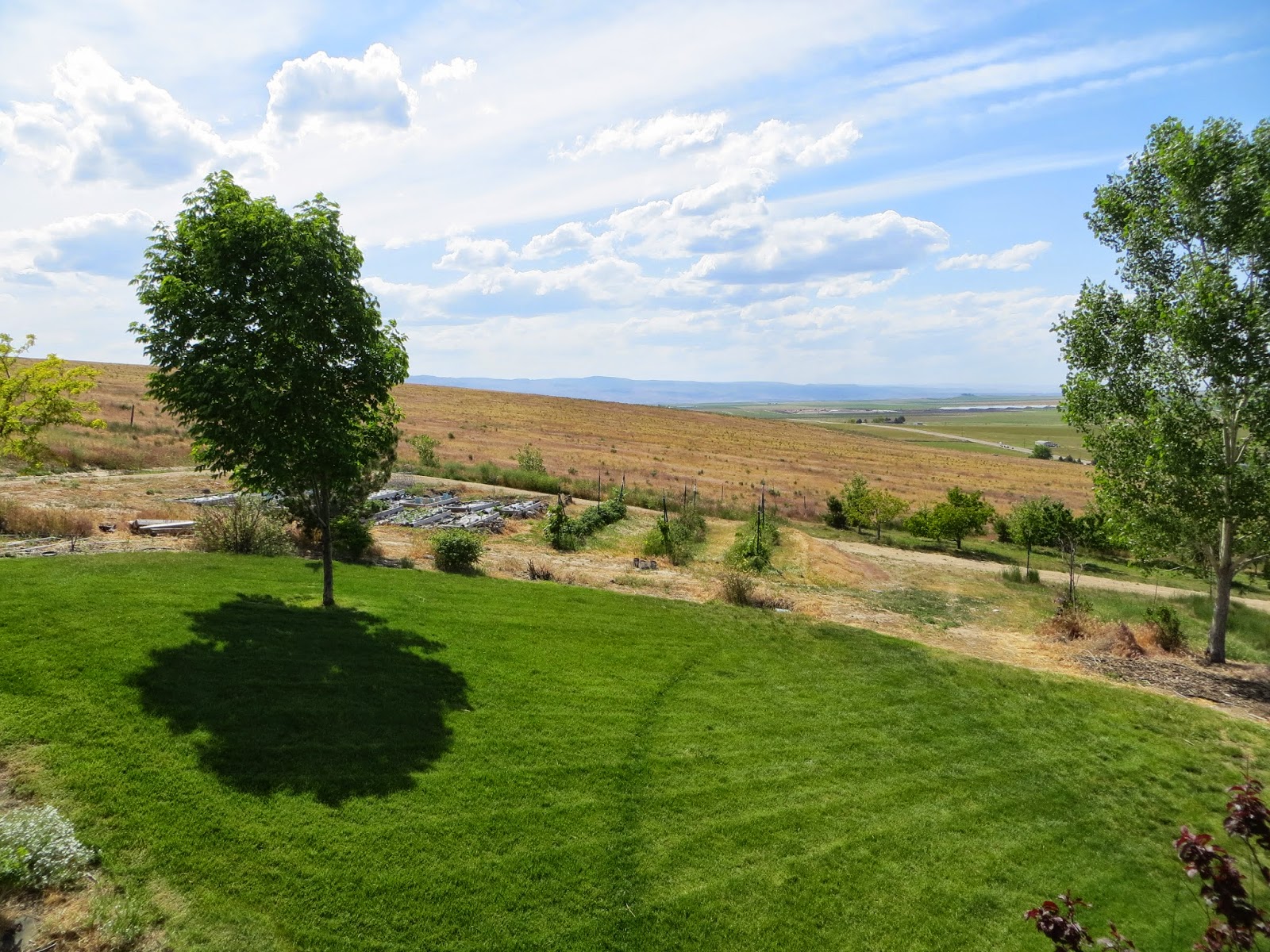 9970 View Point Dr, Melba, ID