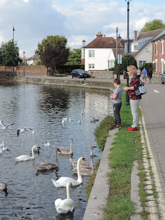 long pond emsworth swans and ducks