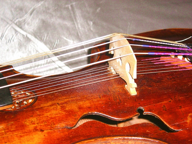 Instrument à cordes frottées — Wikipédia
