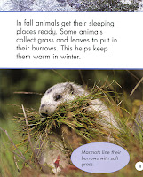 excerpt from Ganeri's Hibernation excerpt from Ganeri's Hibernation