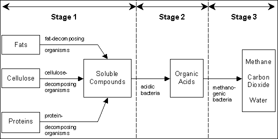 the stages in a production process The 3 stages of production rewarding process if this can’t happen make sure the production company know the best time to talk to you during the day it can be . the stages in a production process The 3 stages of production rewarding process if this can’t happen make sure the production company know the best time to talk to you during the day it can be .
