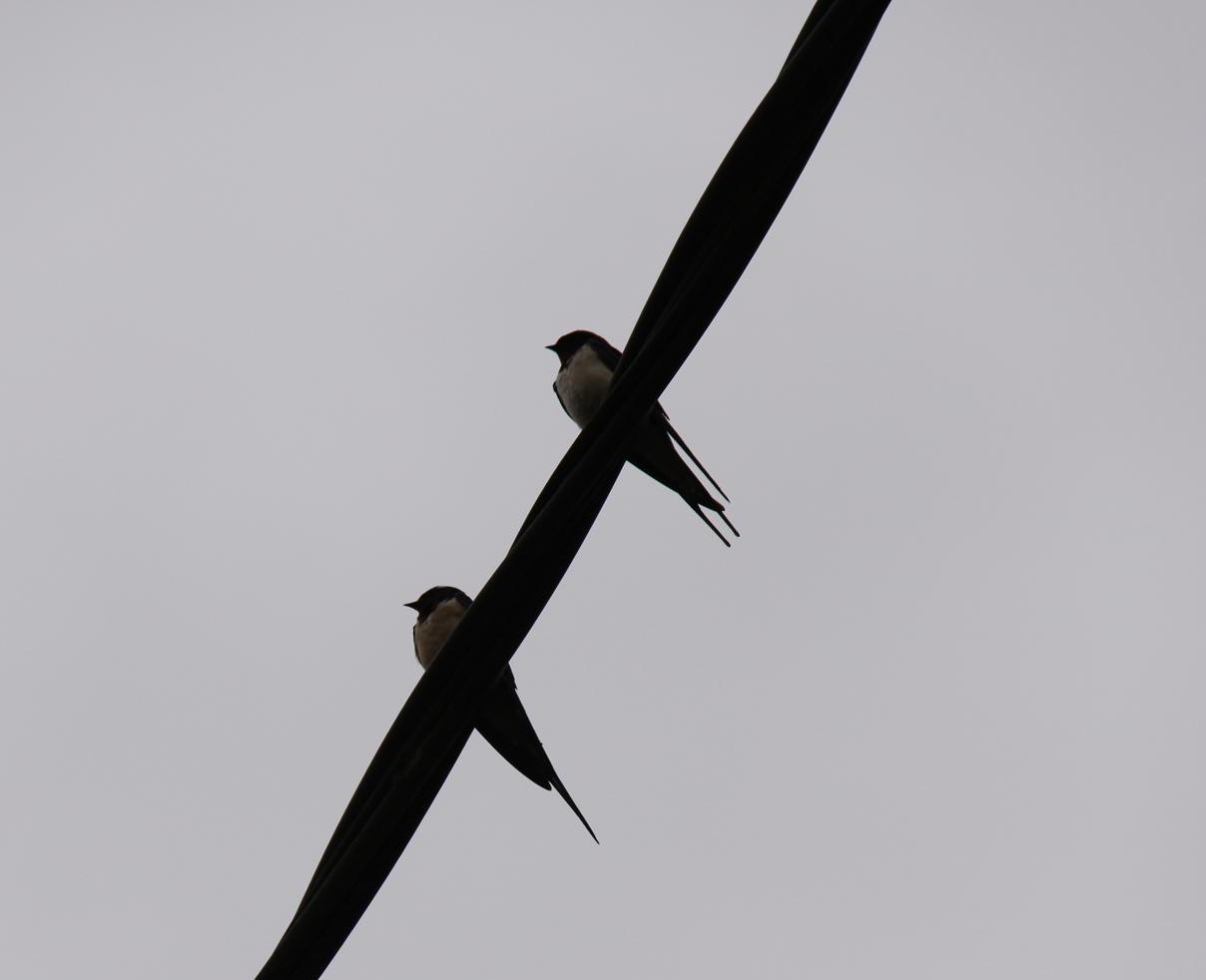 The story of our life returning to England from BrayesousFaye "One