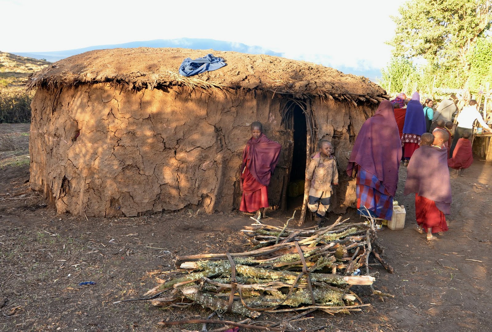 Essay on aids orphans