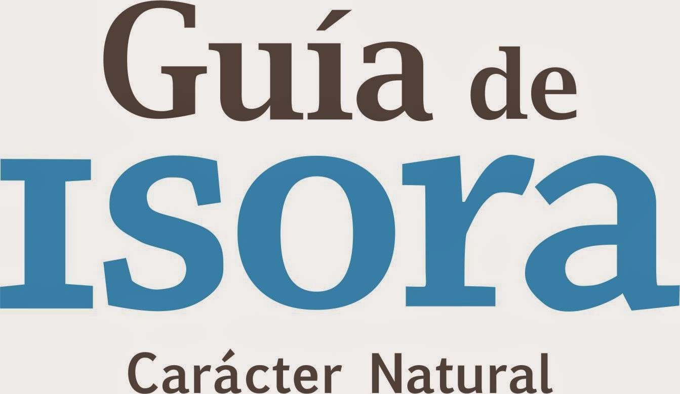 Ayuntamiento Guía de Isora