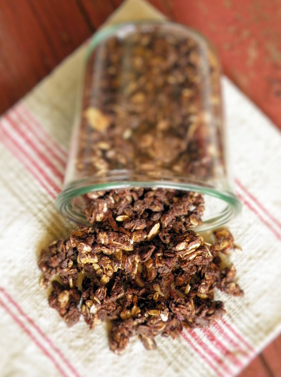 Vittles and Bits Chocolate Almond Coconut Granola