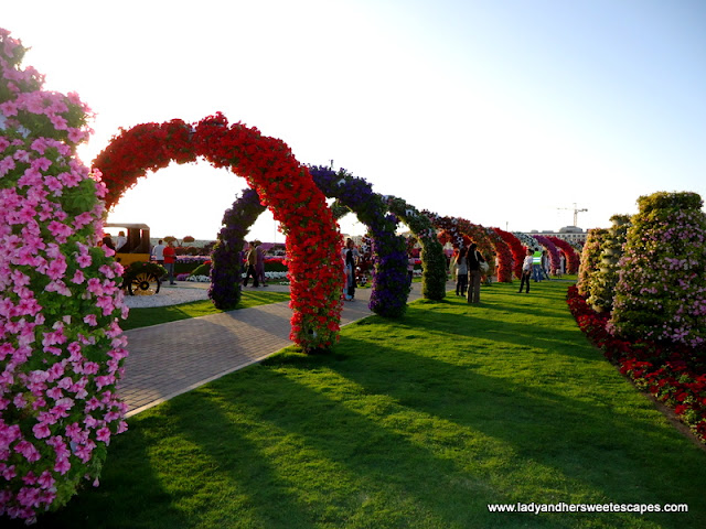 Lot of arcs at Miracle Garden