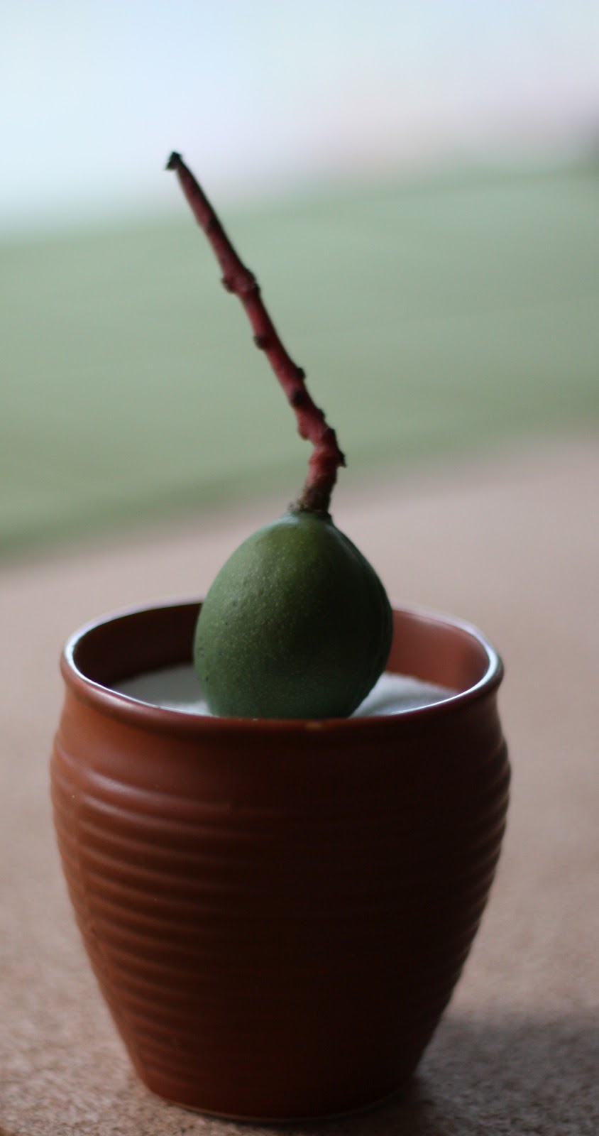 Tiffin Carrier Antic/que's! The Mango Showers of May