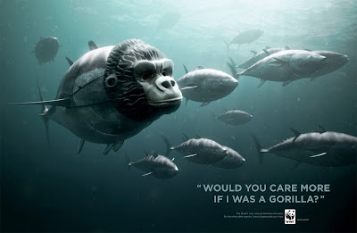 English Literature Essay The Inspiration Behind The Campaign Stems From The Fact That We As A Society Have Not Given The Critical Issue Of Overfishing The Attention And Concern It Essays On Science And Religion also Thesis Statement Examples For Essays Overfishing A Global Problem That We Cant Ignore Script Writing Online