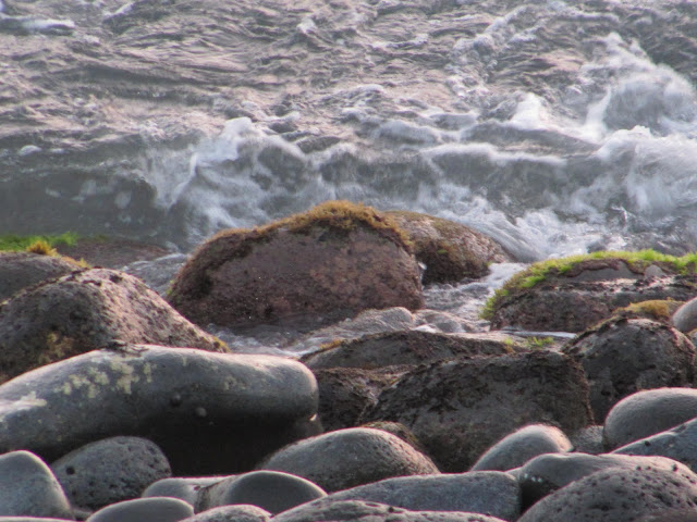 Hawaii Ocean